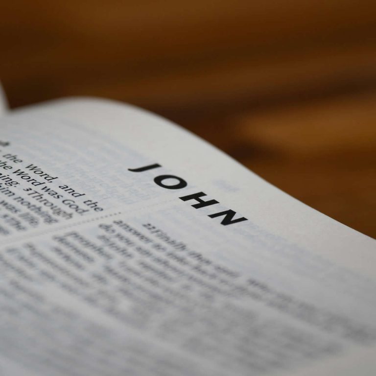 pexels-brettjordan-27545579